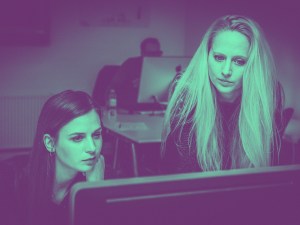 The development process.